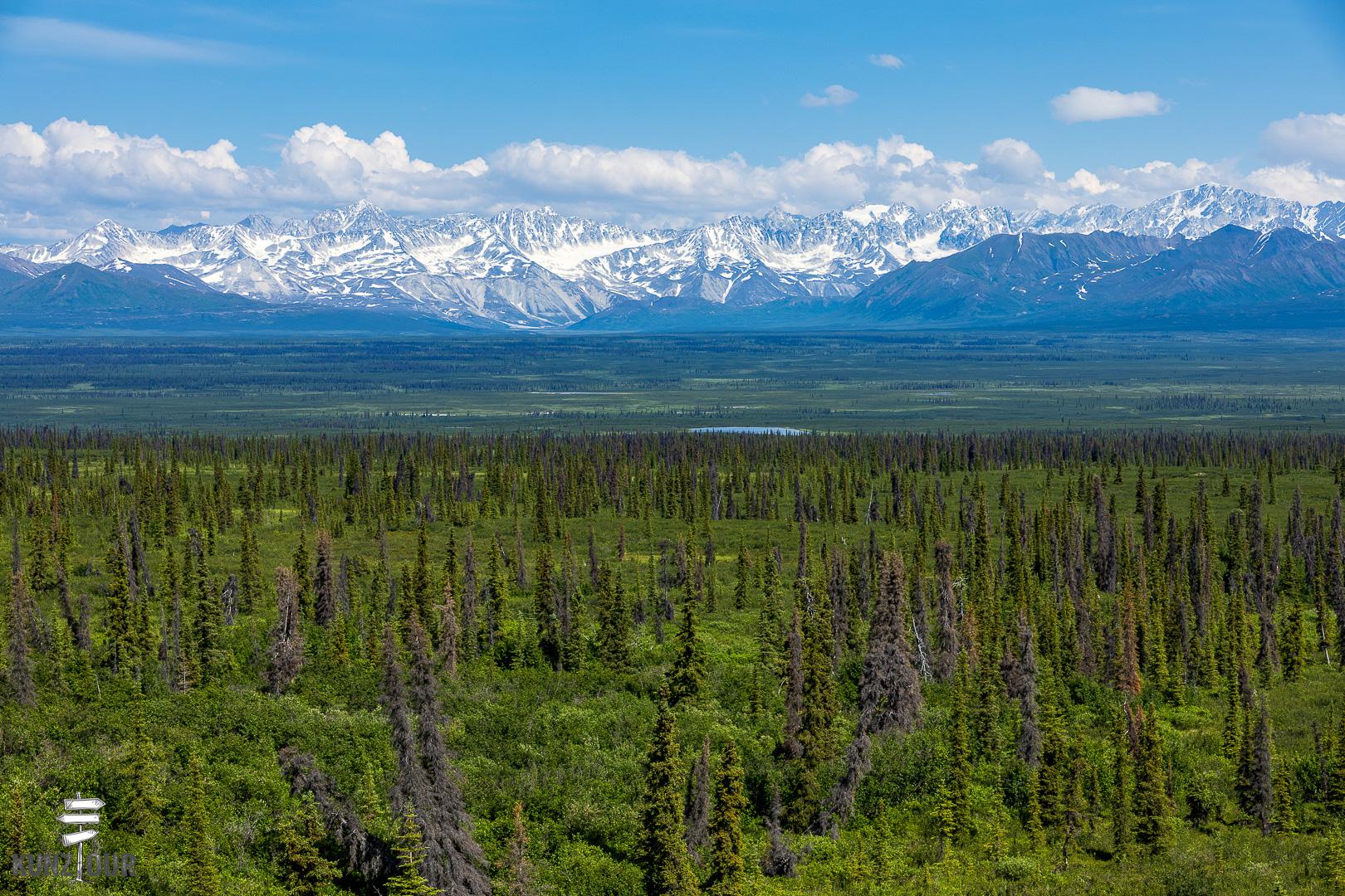 2025_US_Alaska_Denali-Highway-8236