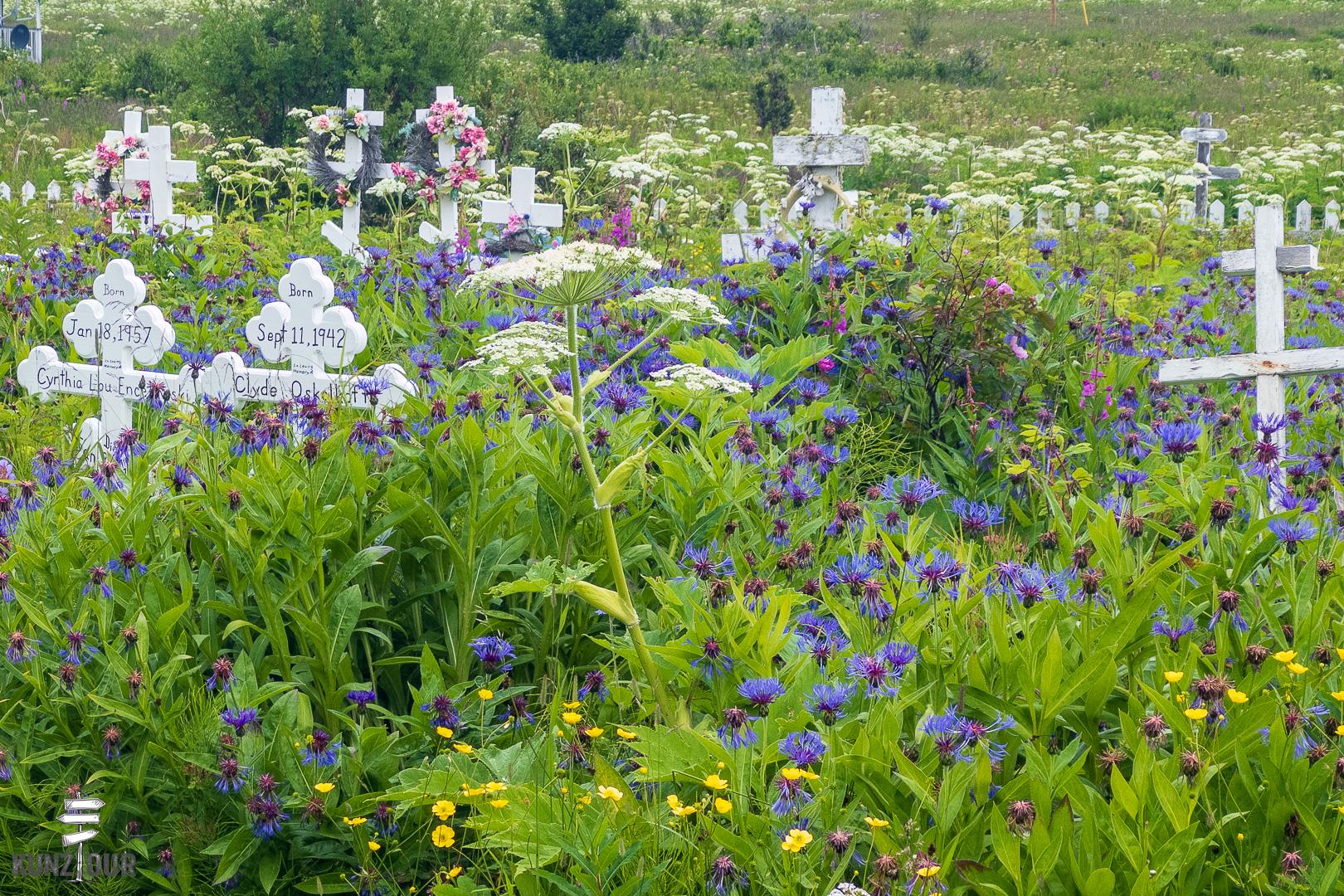 2025_US_Alaska_Anchor-Point-Region-0589