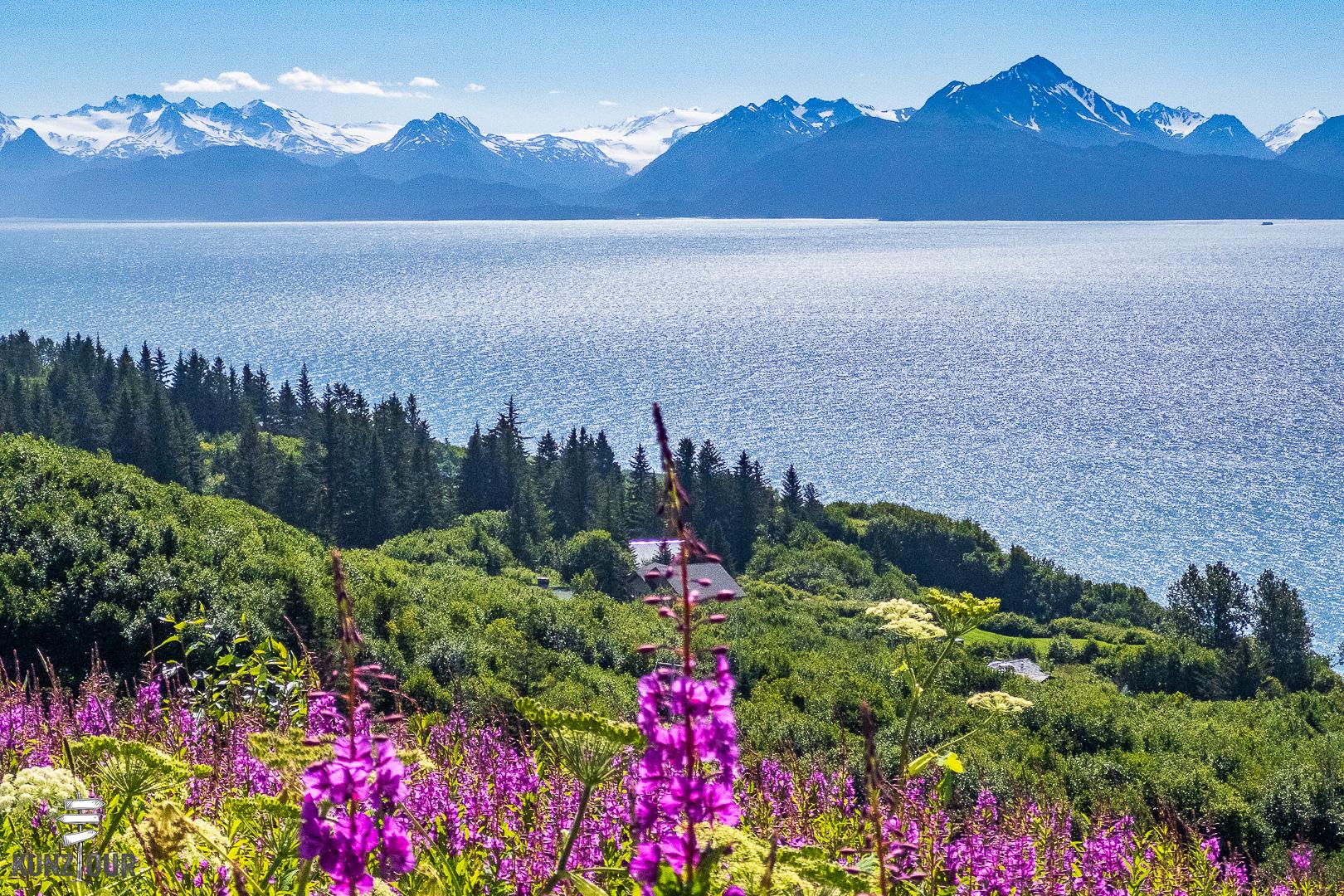 2025_US_Alaska_Anchor-Point-Region-0615