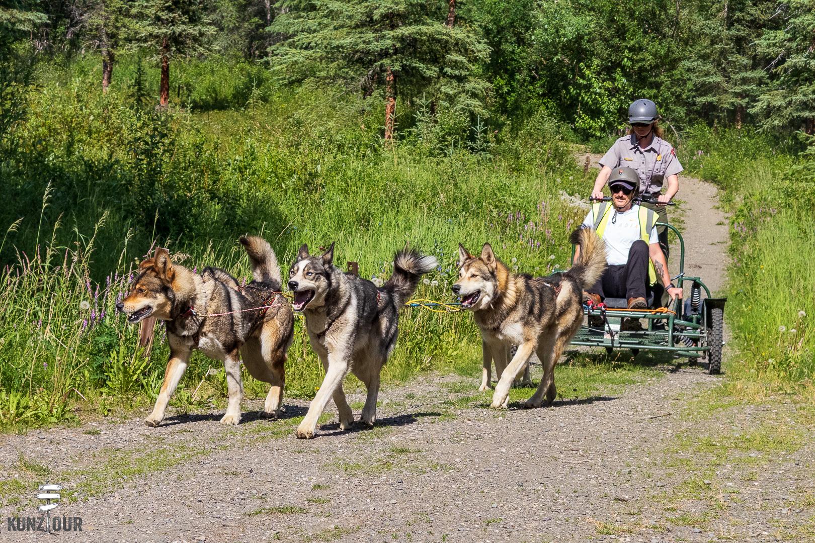 2025_US_Alaska_Denali-NP-9063