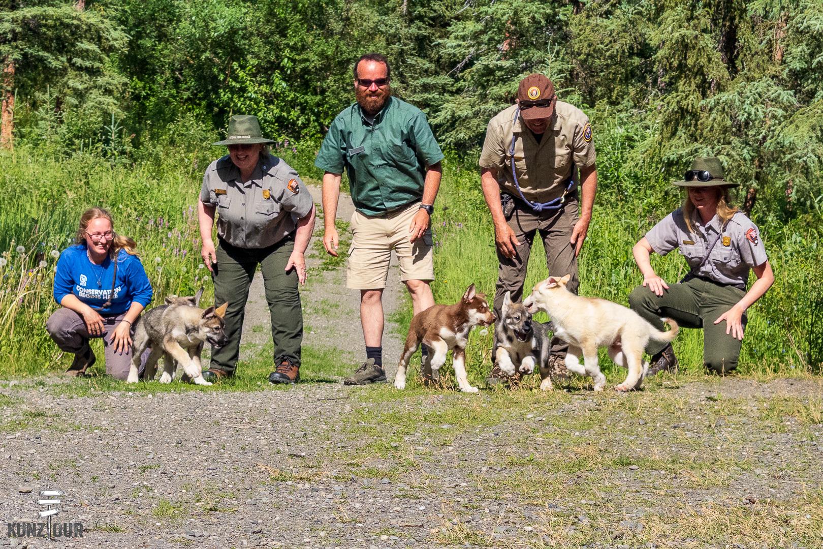 2025_US_Alaska_Denali-NP-9072