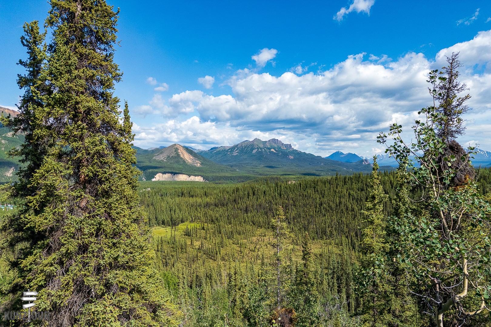 2025_US_Alaska_Denali-NP-9084