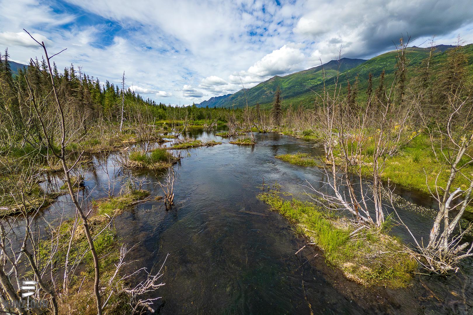 2025_US_Alaska_Eagle-River-9483