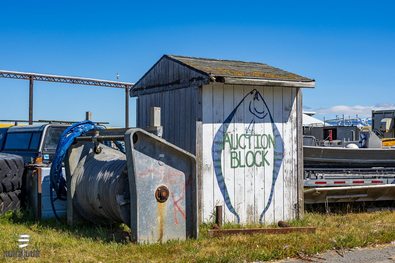 2025_US_Alaska_Homer-0142