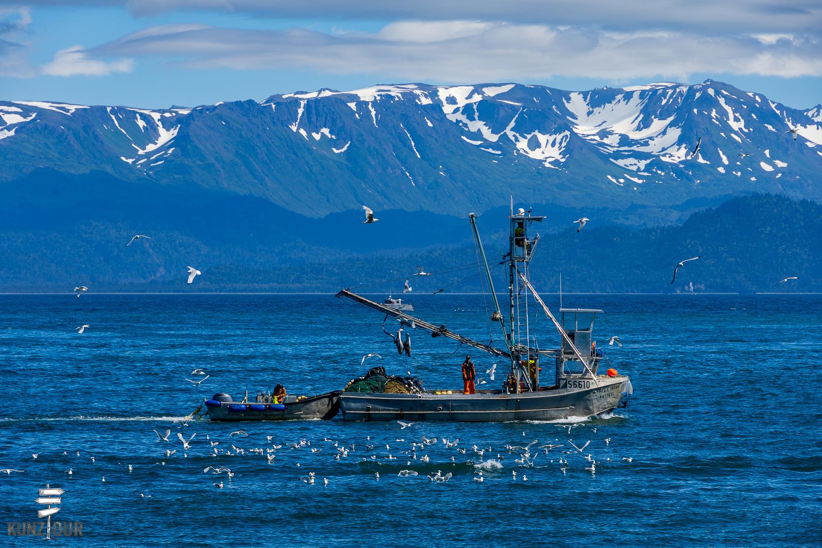 2025_US_Alaska_Homer-0159