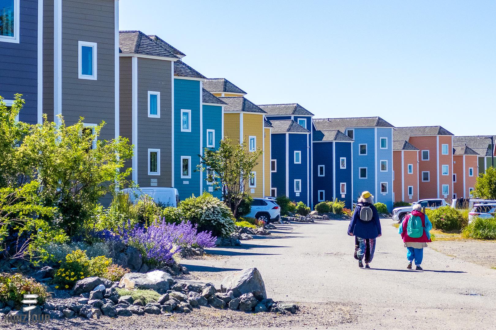 2025_US_Alaska_Homer-0682