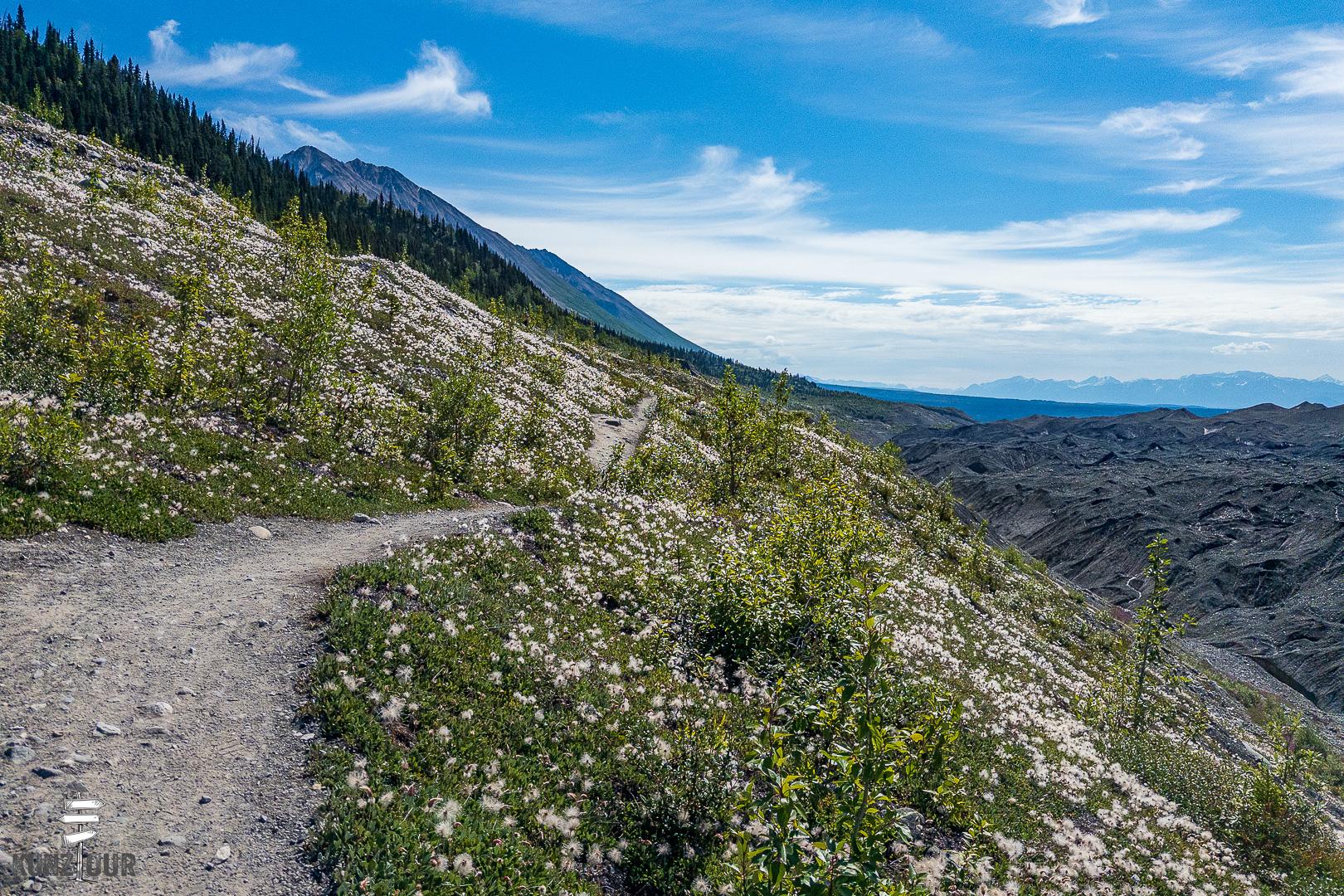 2025_US_Alaska_Root-Glacier-9535