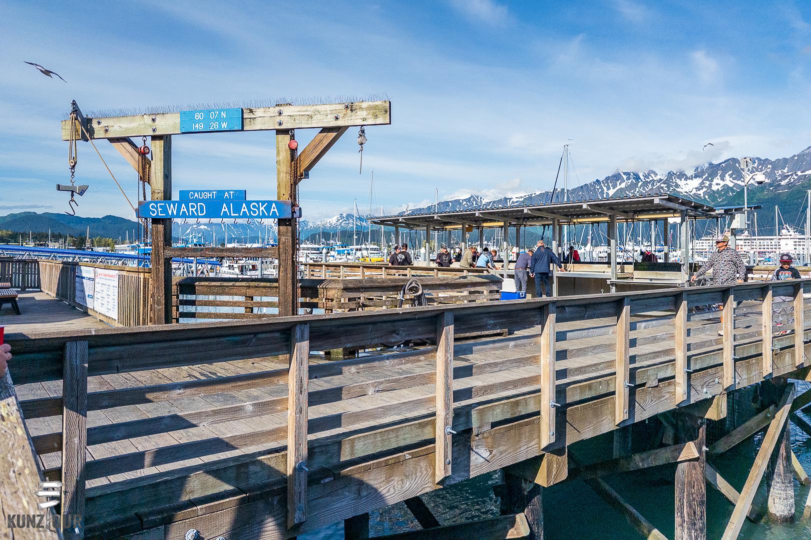 2025_US_Alaska_Seward_Kenai-Fiord-NP-9404