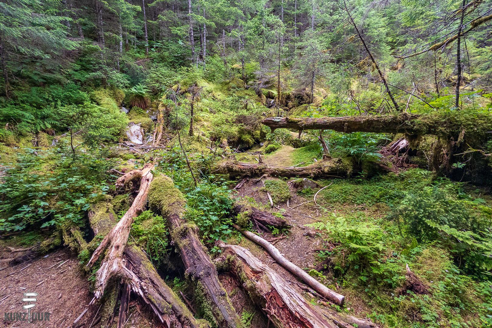 2025_US_Alaska_Seward_Lowll-Point-RS-9337