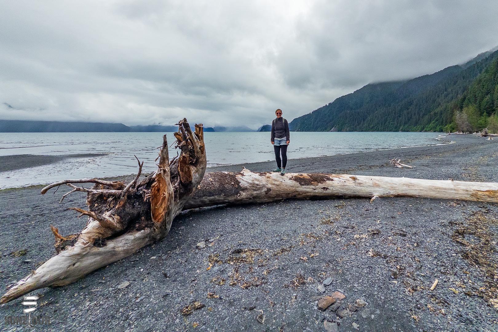 2025_US_Alaska_Seward_Lowll-Point-RS-9356