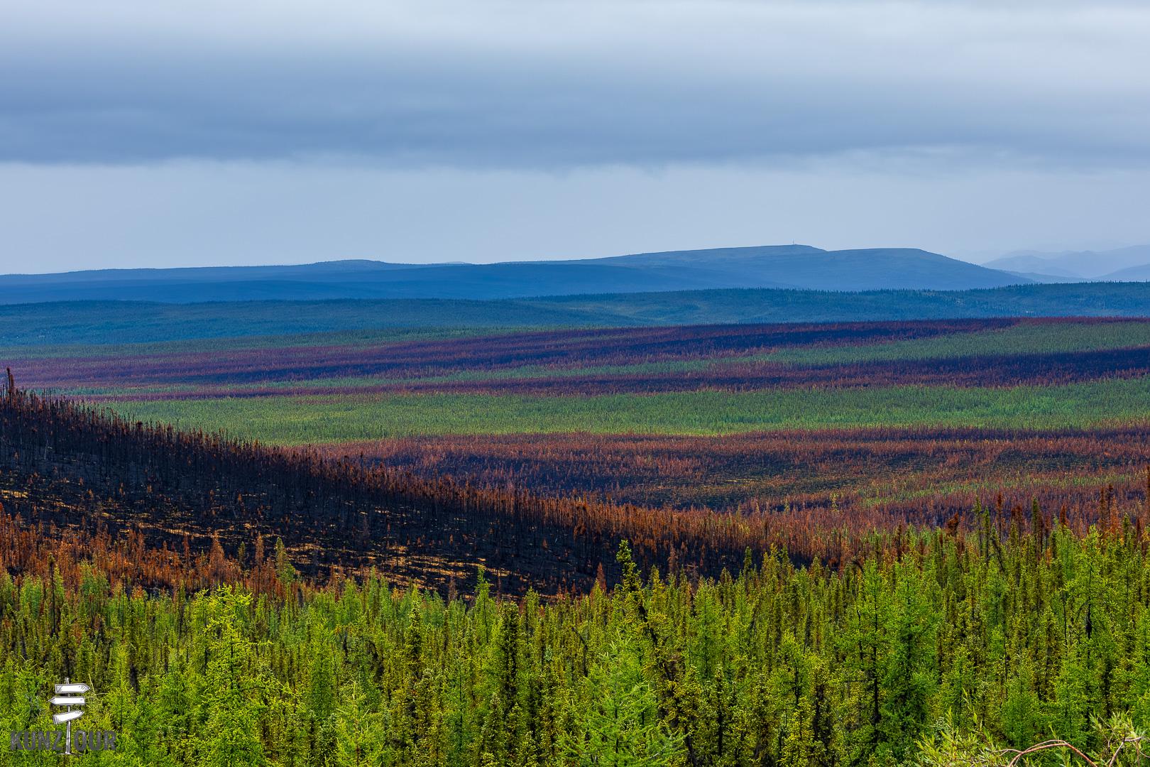 2025_CA_Yukon_Dempster-Hwy-0576