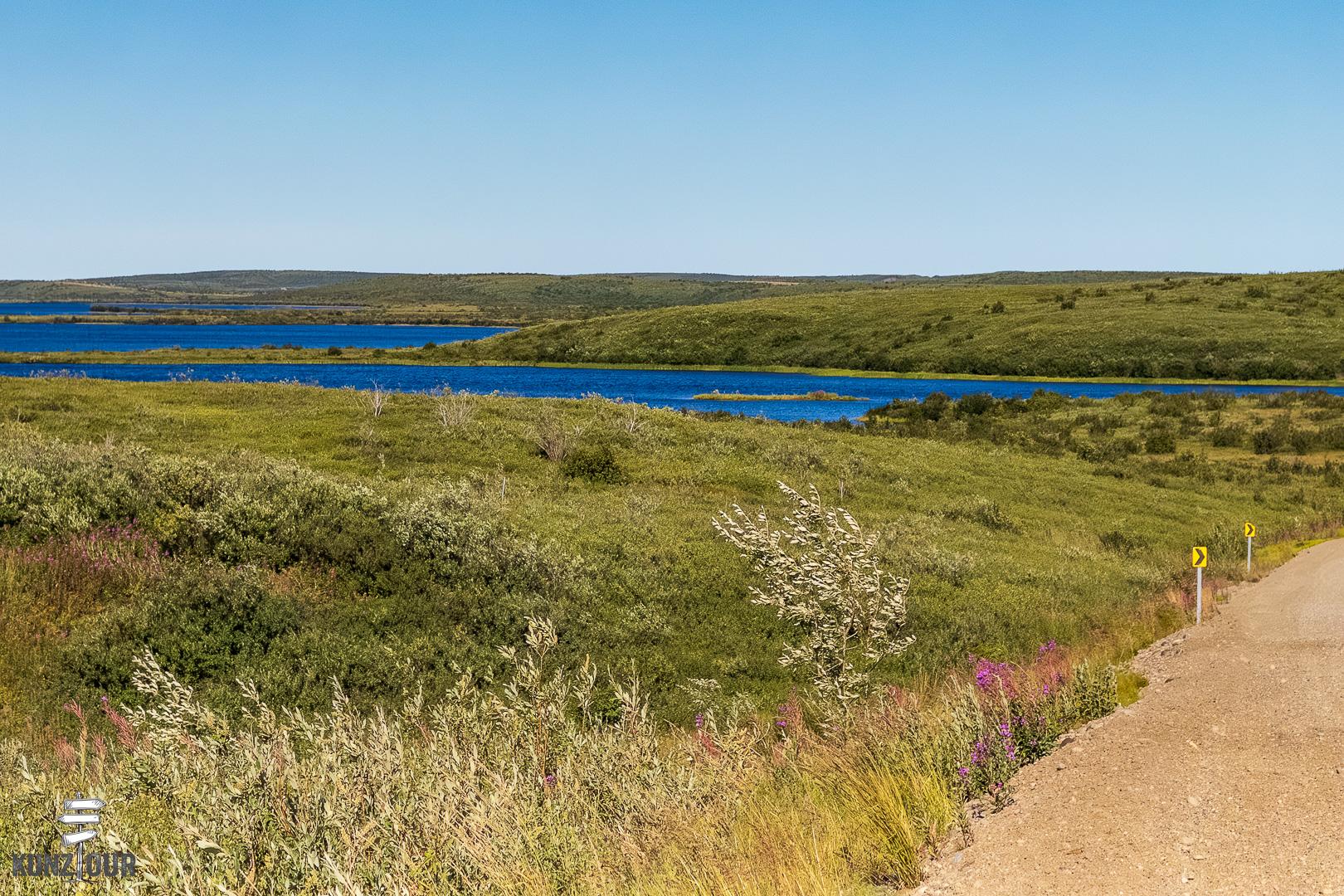 2025_CA_Yukon_Dempster-Hwy-9636