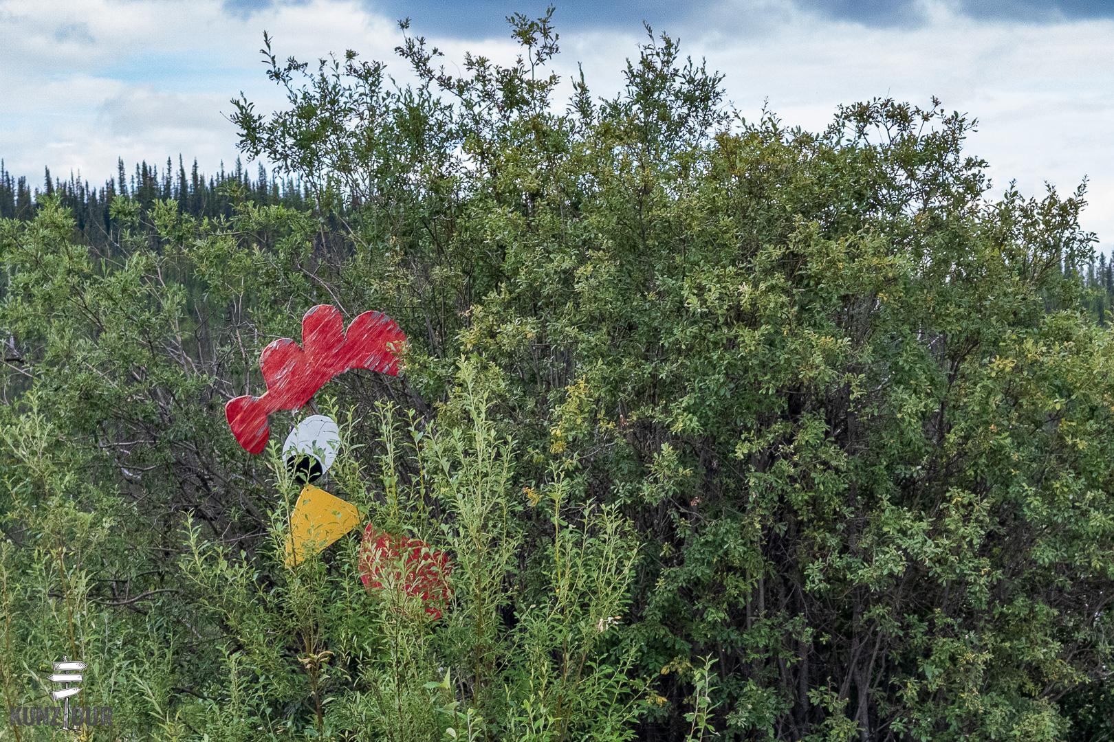 2025_US_Alaska_Top-of-the-World-HW_Chicken-9556