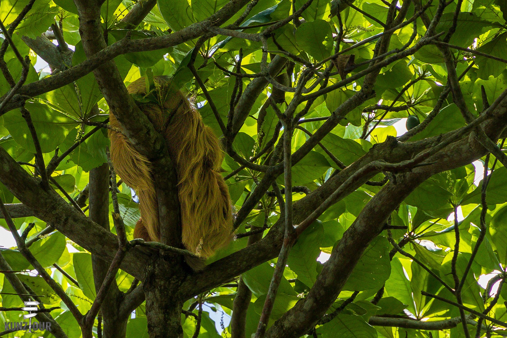 2026_CR_Limon_Parque-Nacional-Cahuita-2345