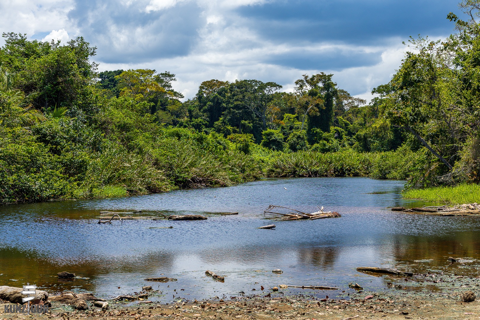 2026_CR_Limon_Parque-Nacional-Cahuita-2429