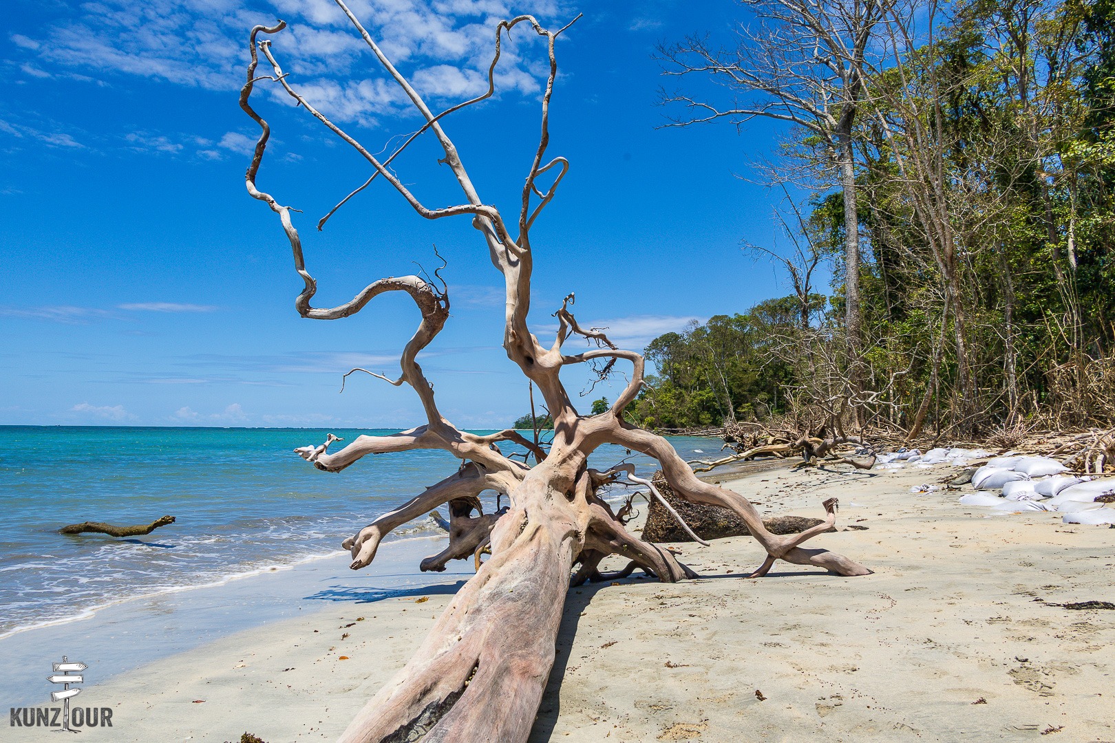 2026_CR_Limon_Parque-Nacional-Cahuita-2448