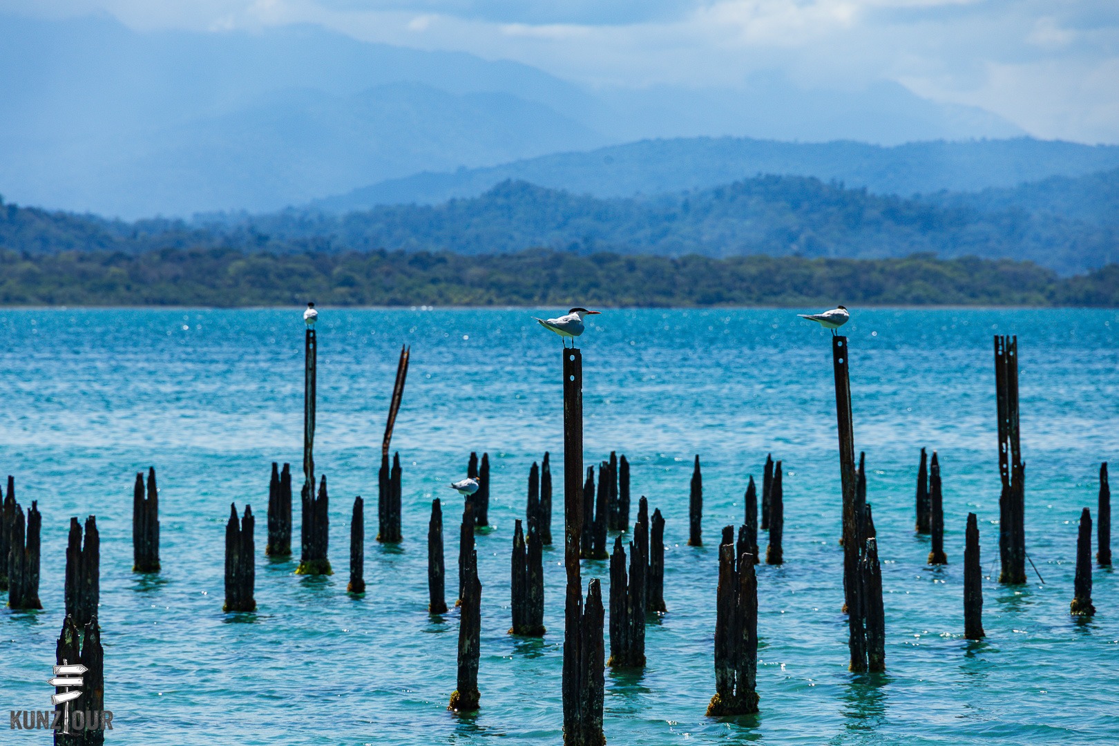 2026_CR_Limon_Parque-Nacional-Cahuita-2579