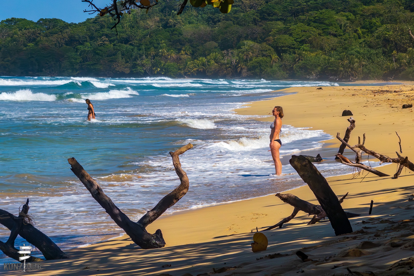 2026_PA_Bocas-del-Toro_Isla-Bastimentos-0140