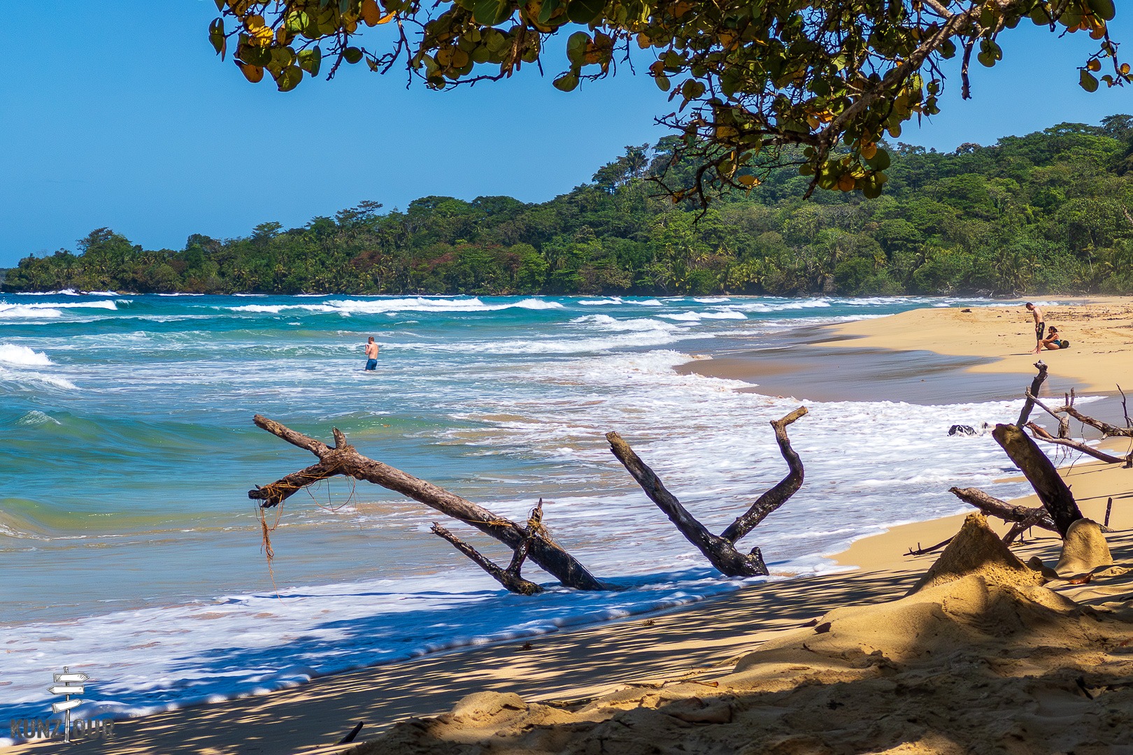 2026_PA_Bocas-del-Toro_Isla-Bastimentos-1554