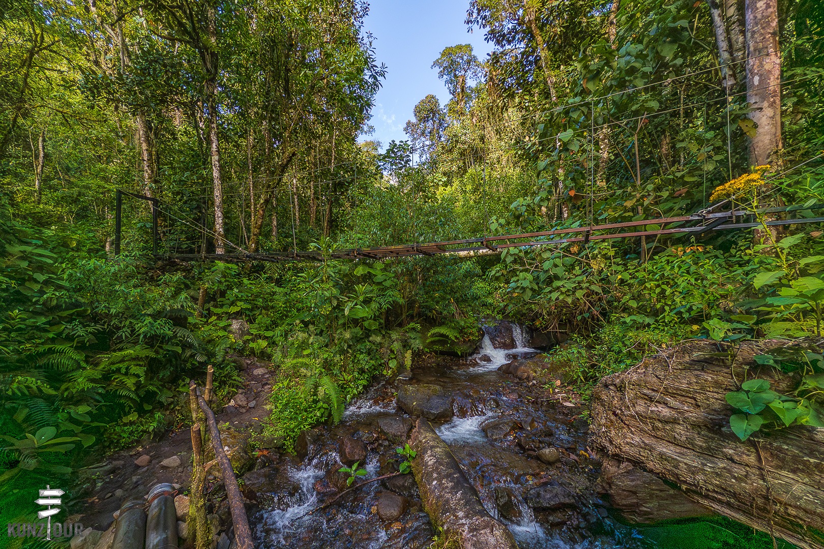 2026_PA_Boquete-0023