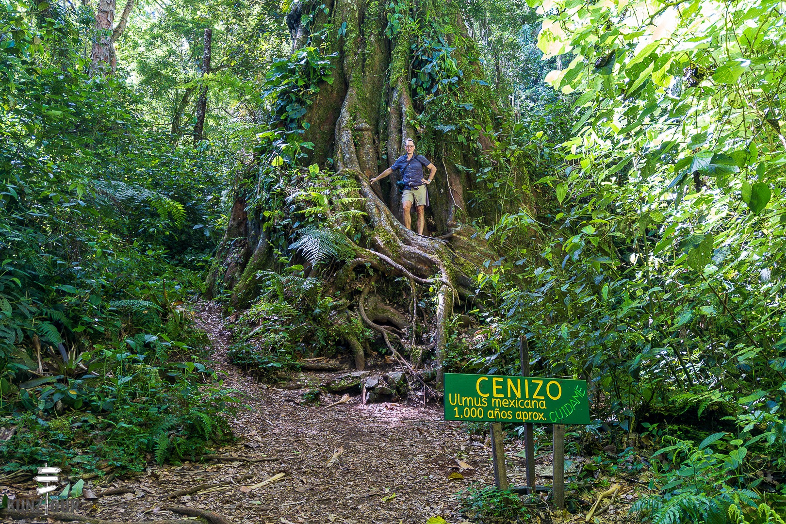 2026_PA_Boquete-0033