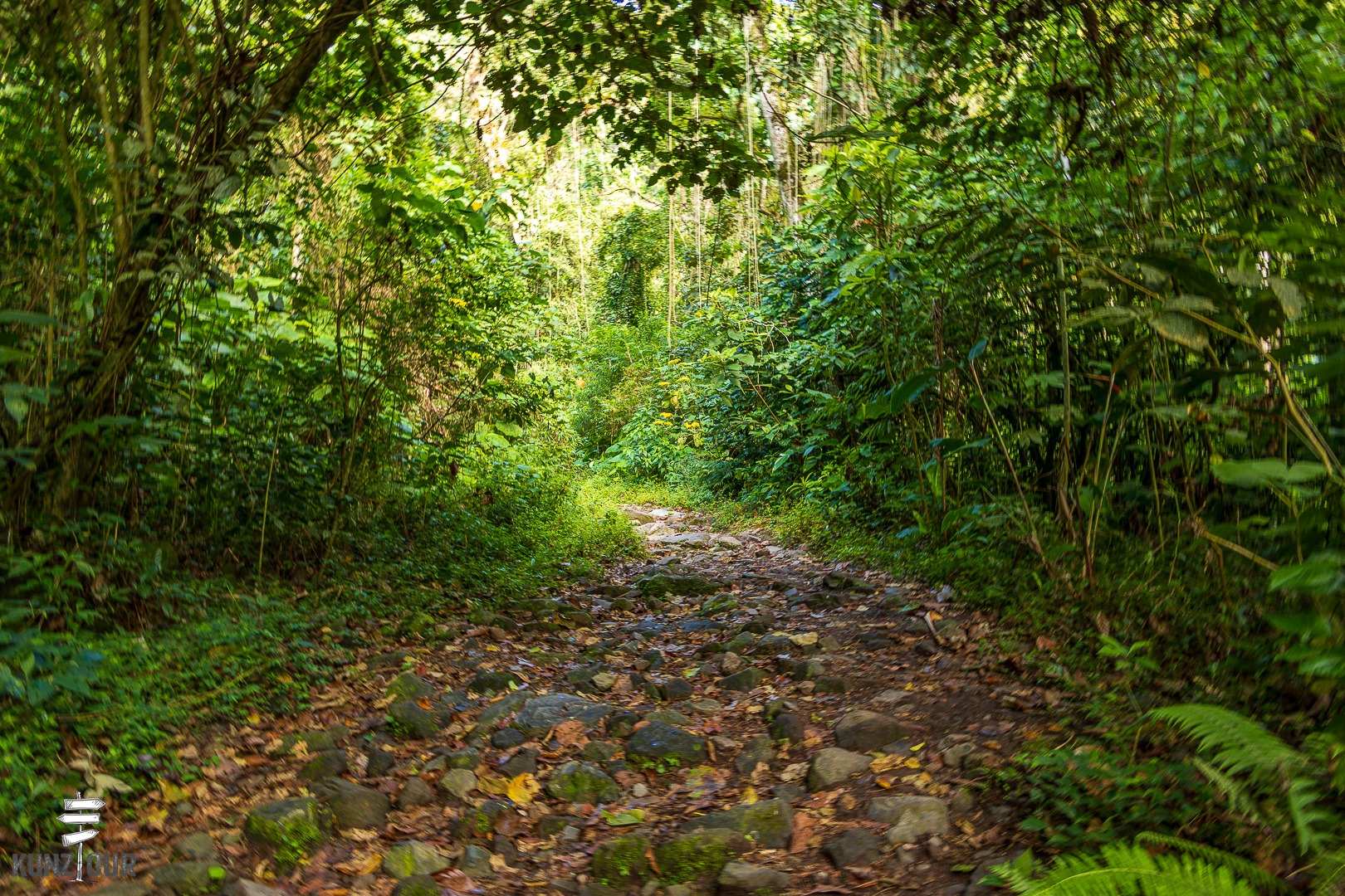 2026_PA_Boquete-1914