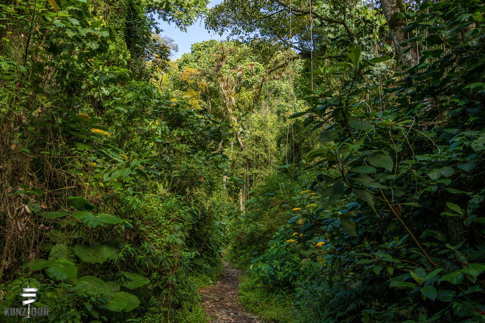 2026_PA_Boquete-1916