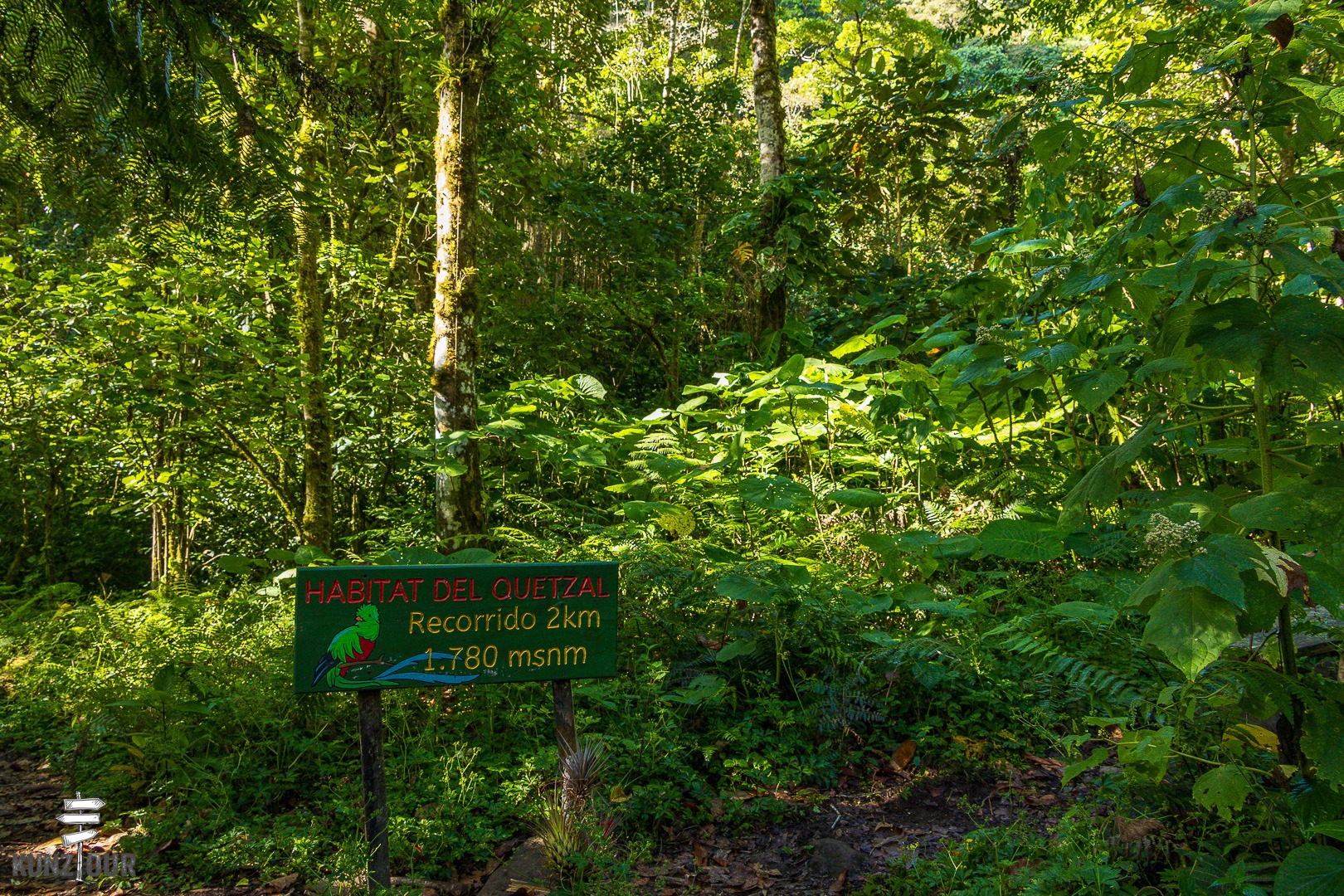 2026_PA_Boquete-1918