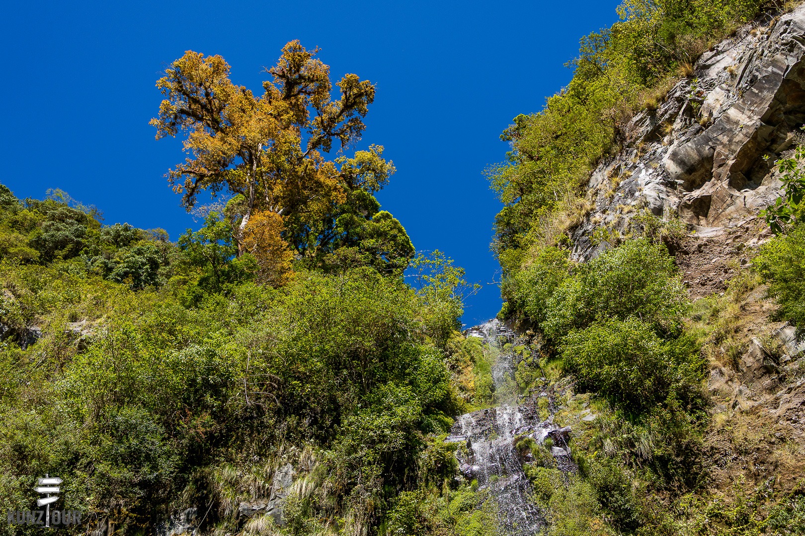 2026_PA_Boquete-1924