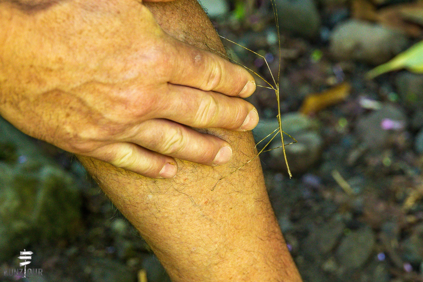 2026_PA_Boquete-1930