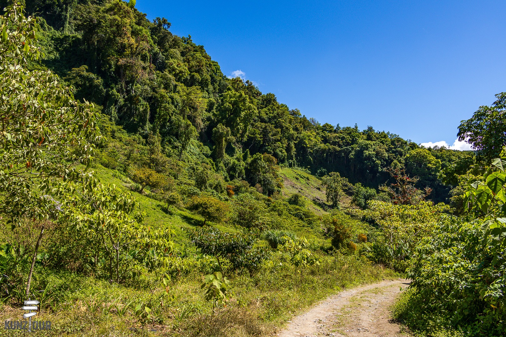 2026_PA_Boquete-1933