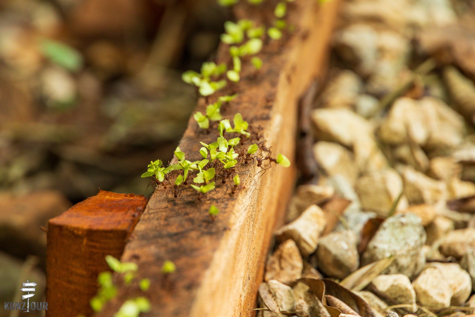 2026_PA_Panama-City-1635