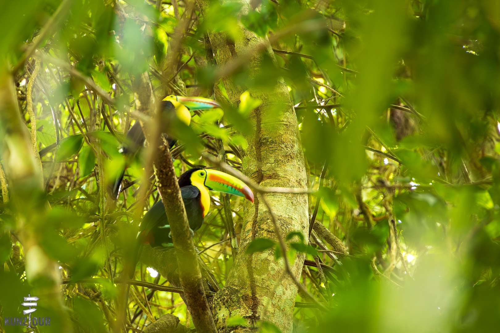 2026_PA_Panama-City-1650