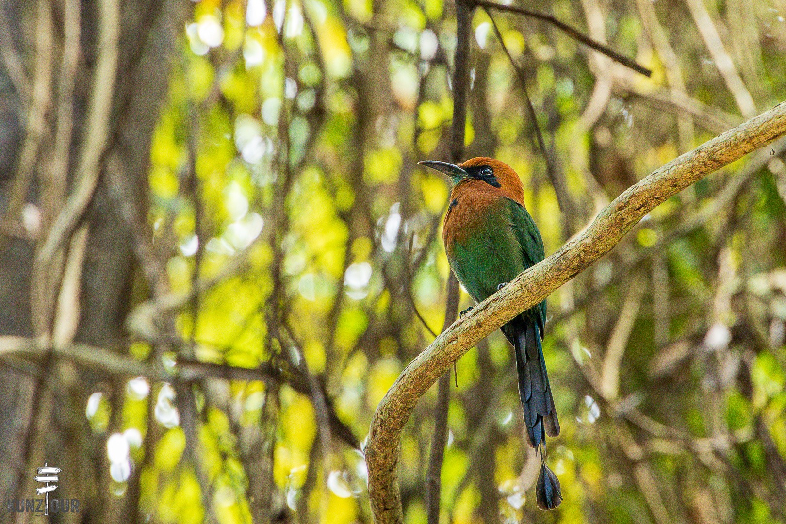 2026_PA_Panama-City-1685