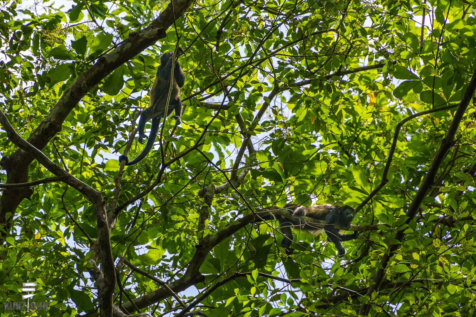 2026_PA_Panama-City-1706