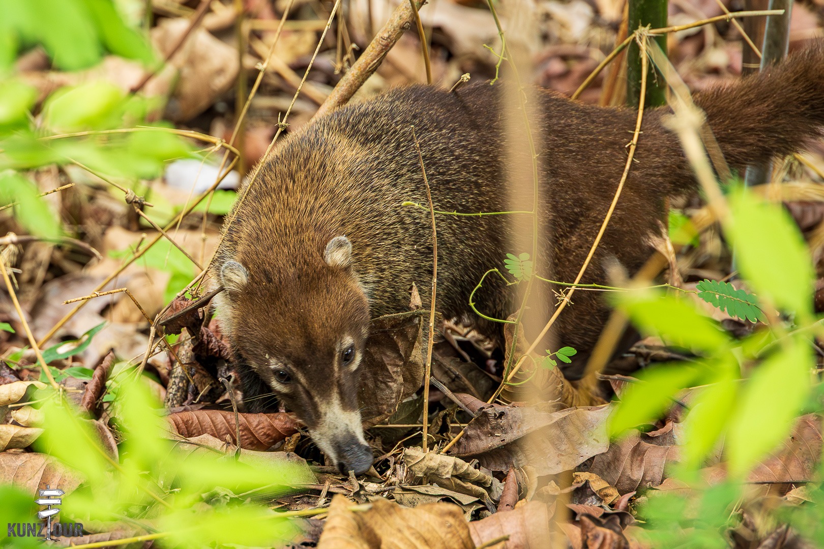 2026_PA_Panama-City-1738