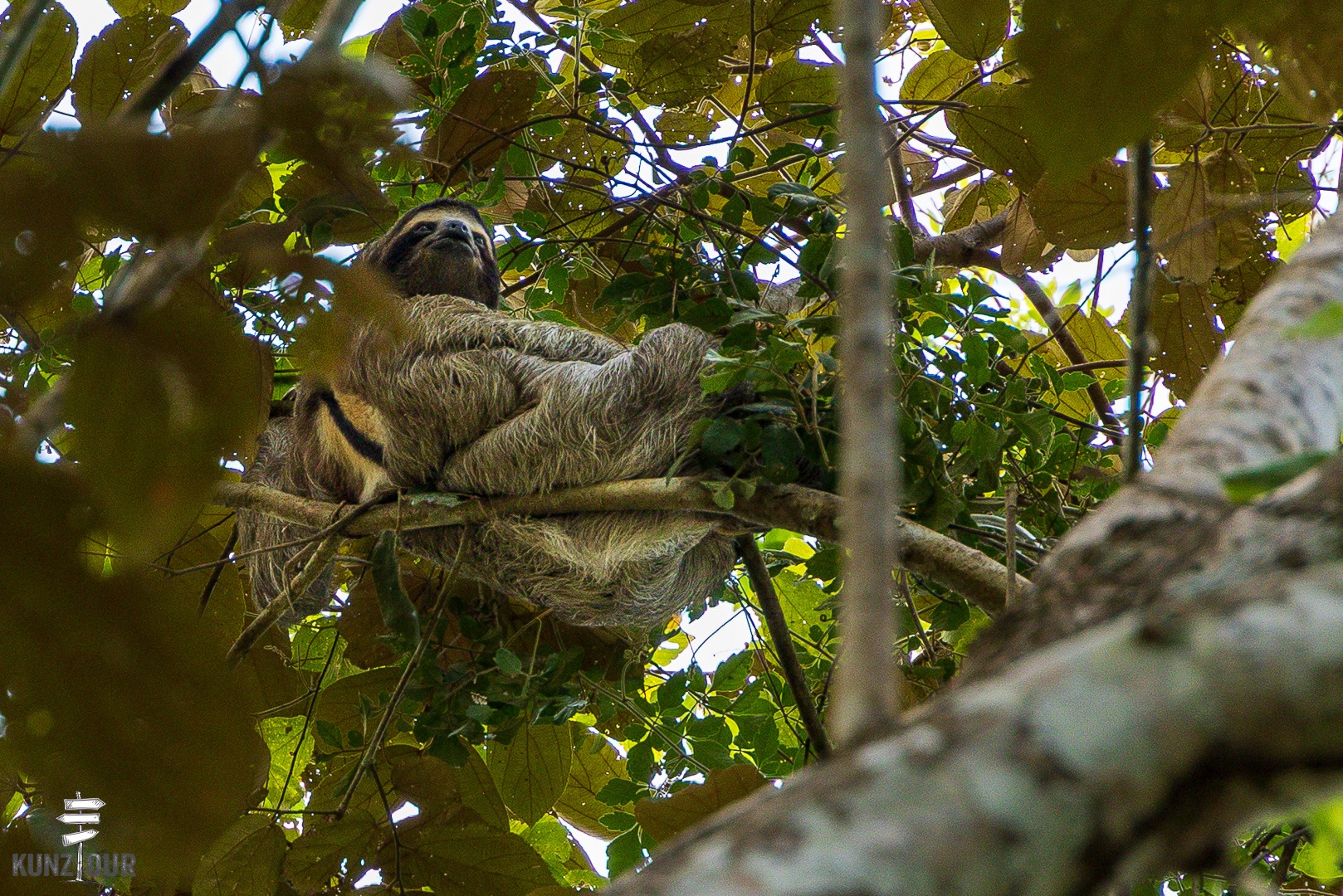 2026_PA_Panama-City-1783