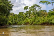 Tortuguero-NP