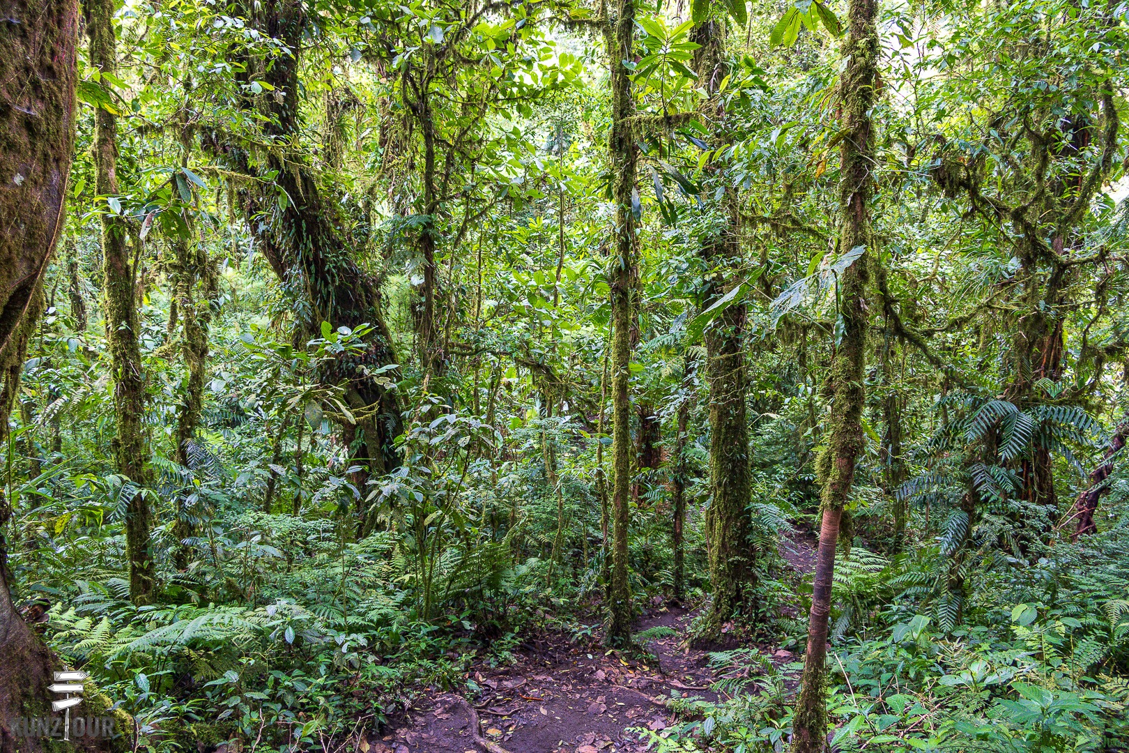 2026_CR_Puntarenas_Monteverde_Santa-Elena-5873