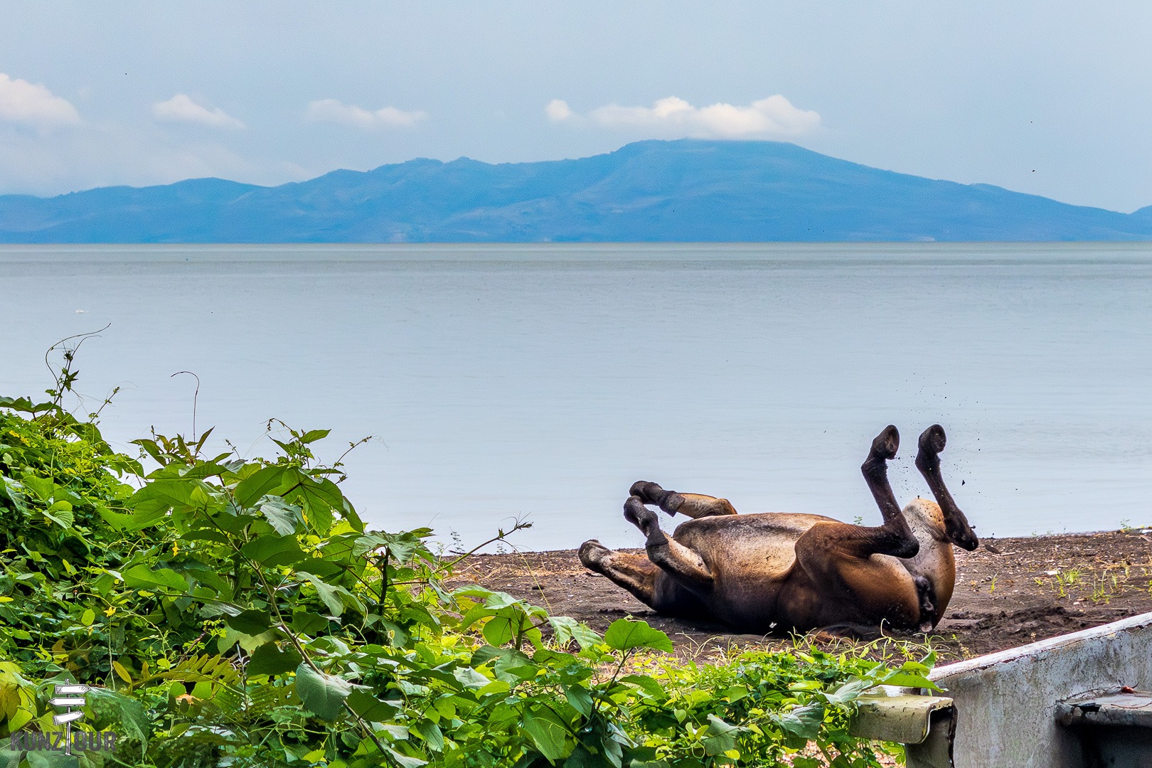 2026_NI_Ometepe-1099