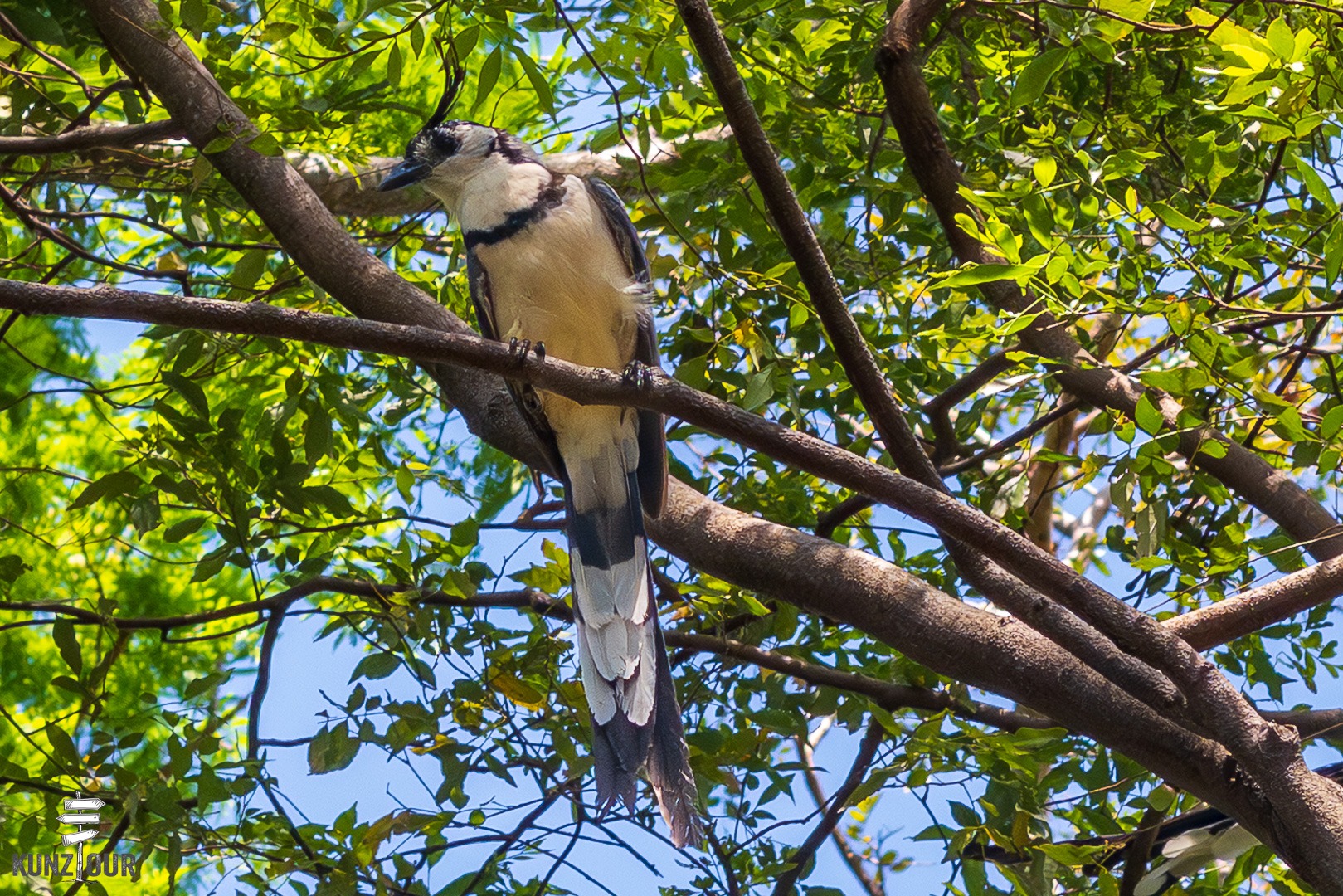 2026_NI_Ometepe-1148