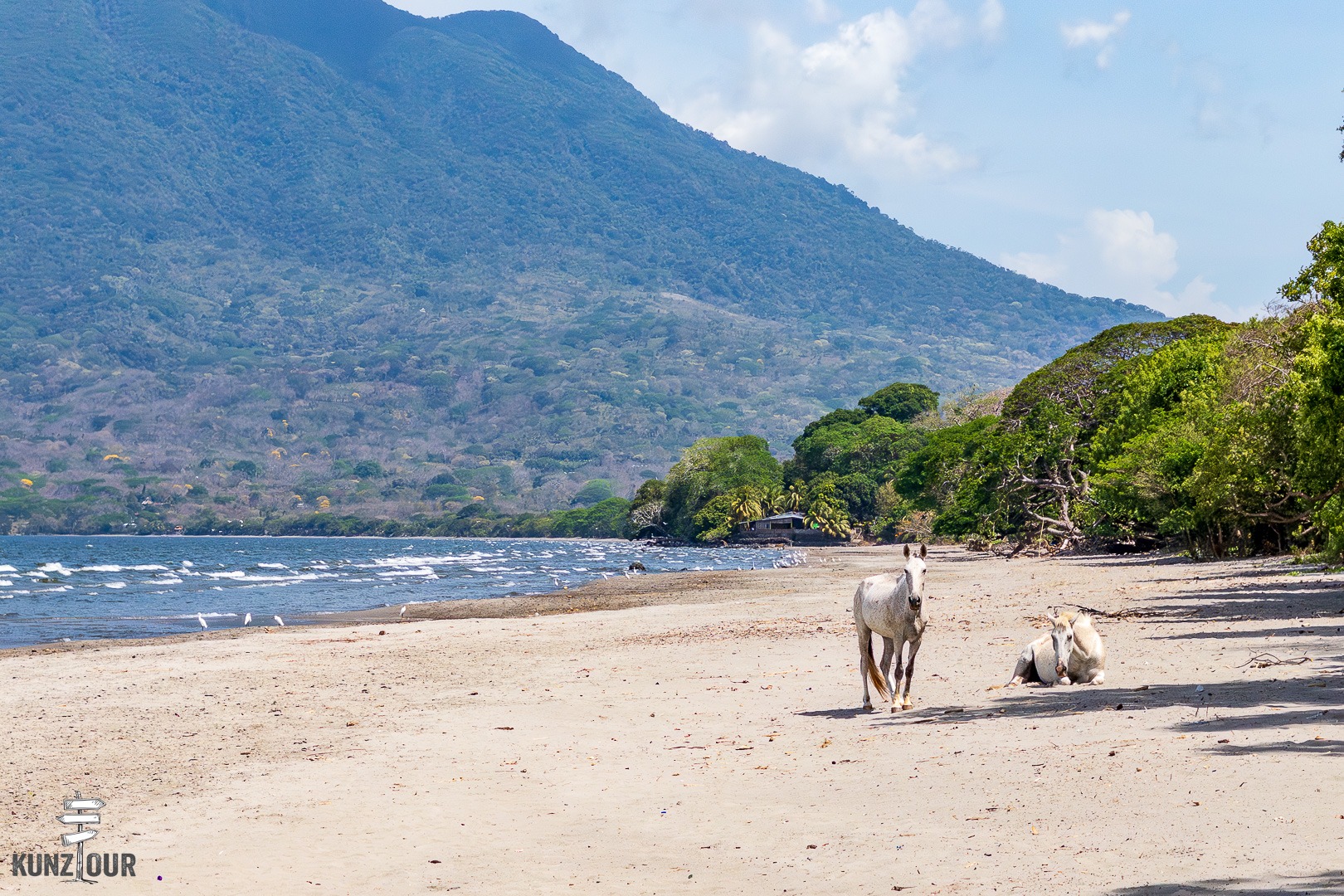 2026_NI_Ometepe-1229