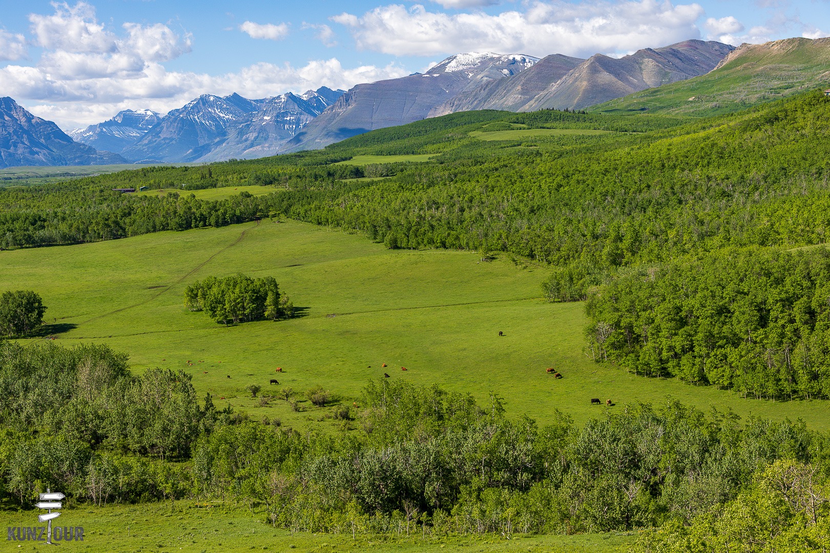 2026_Alberta_Pincher-Creek-6036