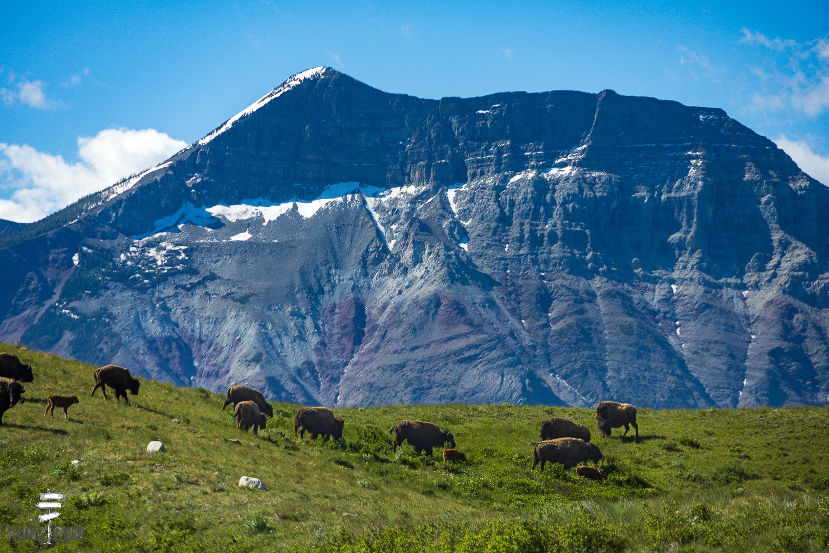 2026_Alberta_Waterton-Lakes-NP-6043