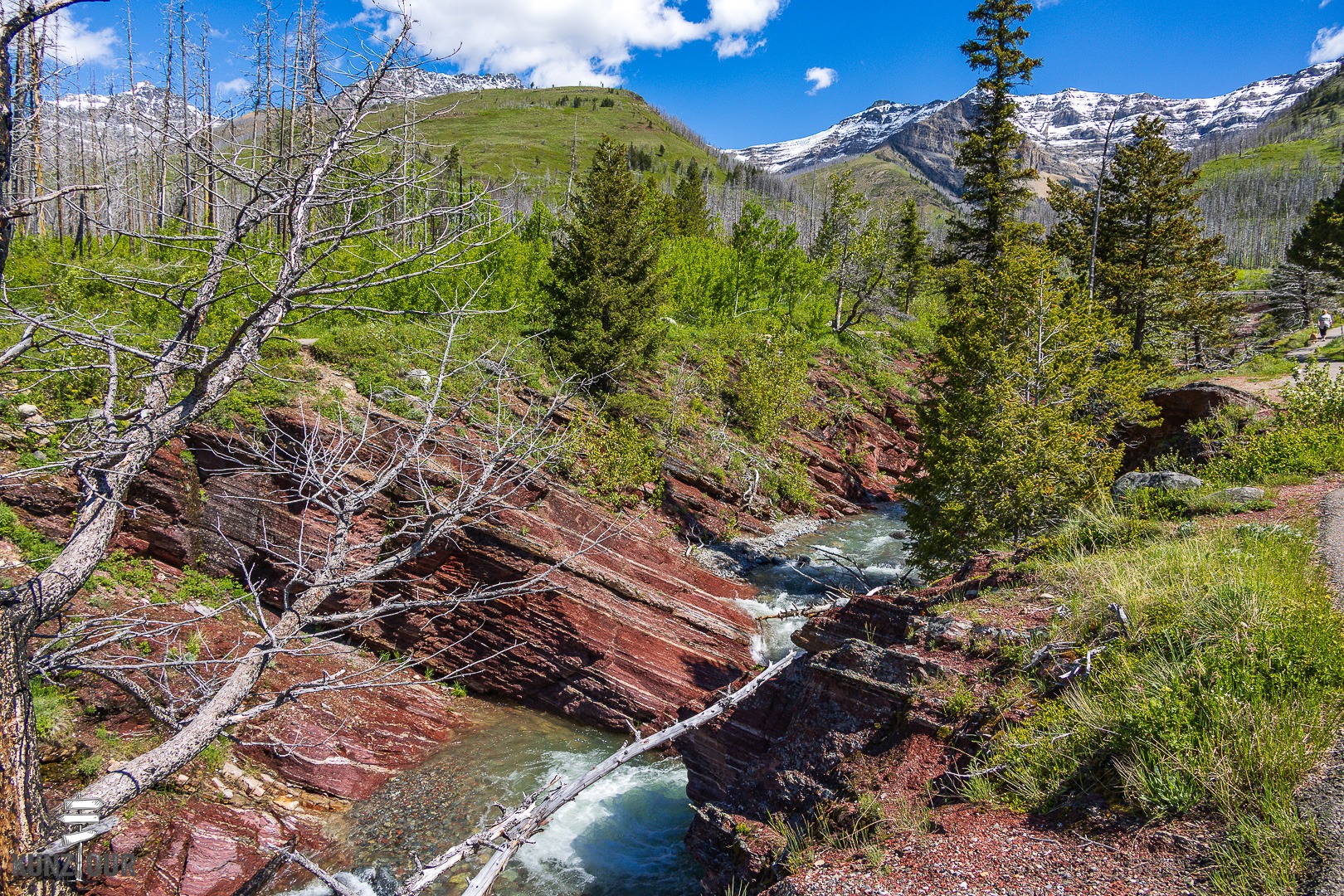 2026_Alberta_Waterton-Lakes-NP-6068