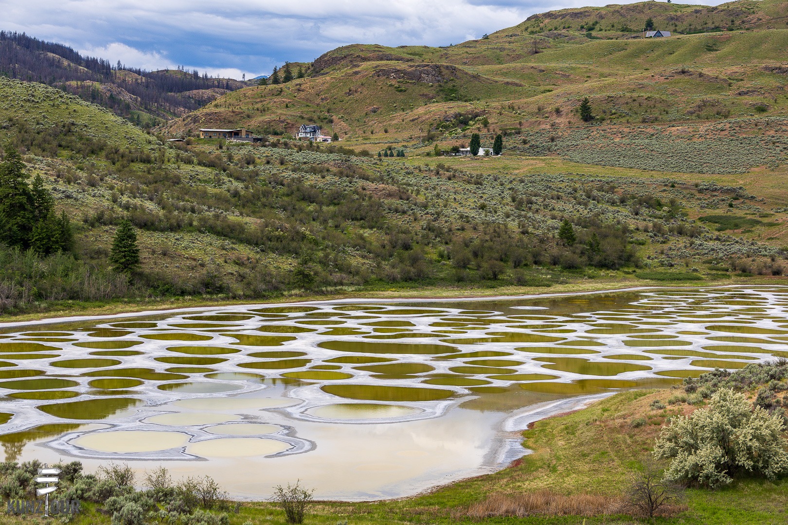 2026_BC_Spotted-Lake-6015