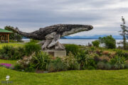 Vancouver Island IV