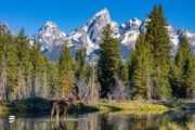 Grand-Teton-NP II
