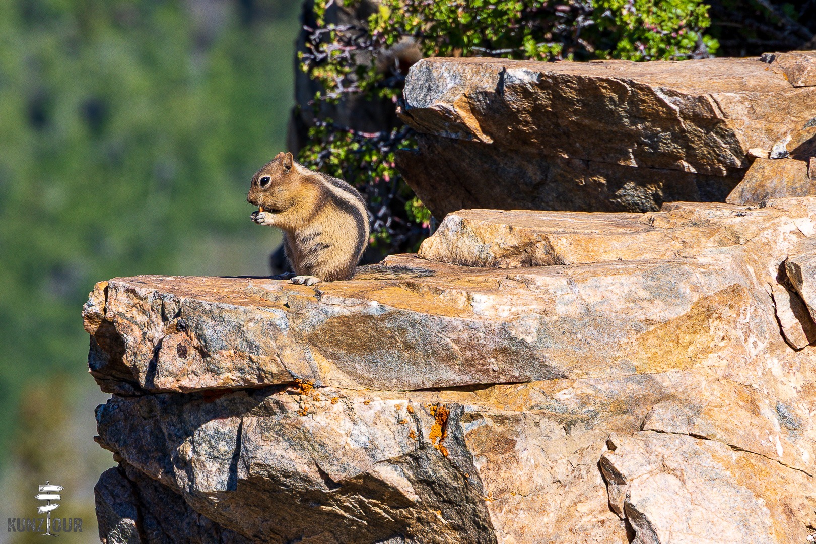 2026_US_Wyoming_Yellowstone-NP_Beartooth-Hwy-7167