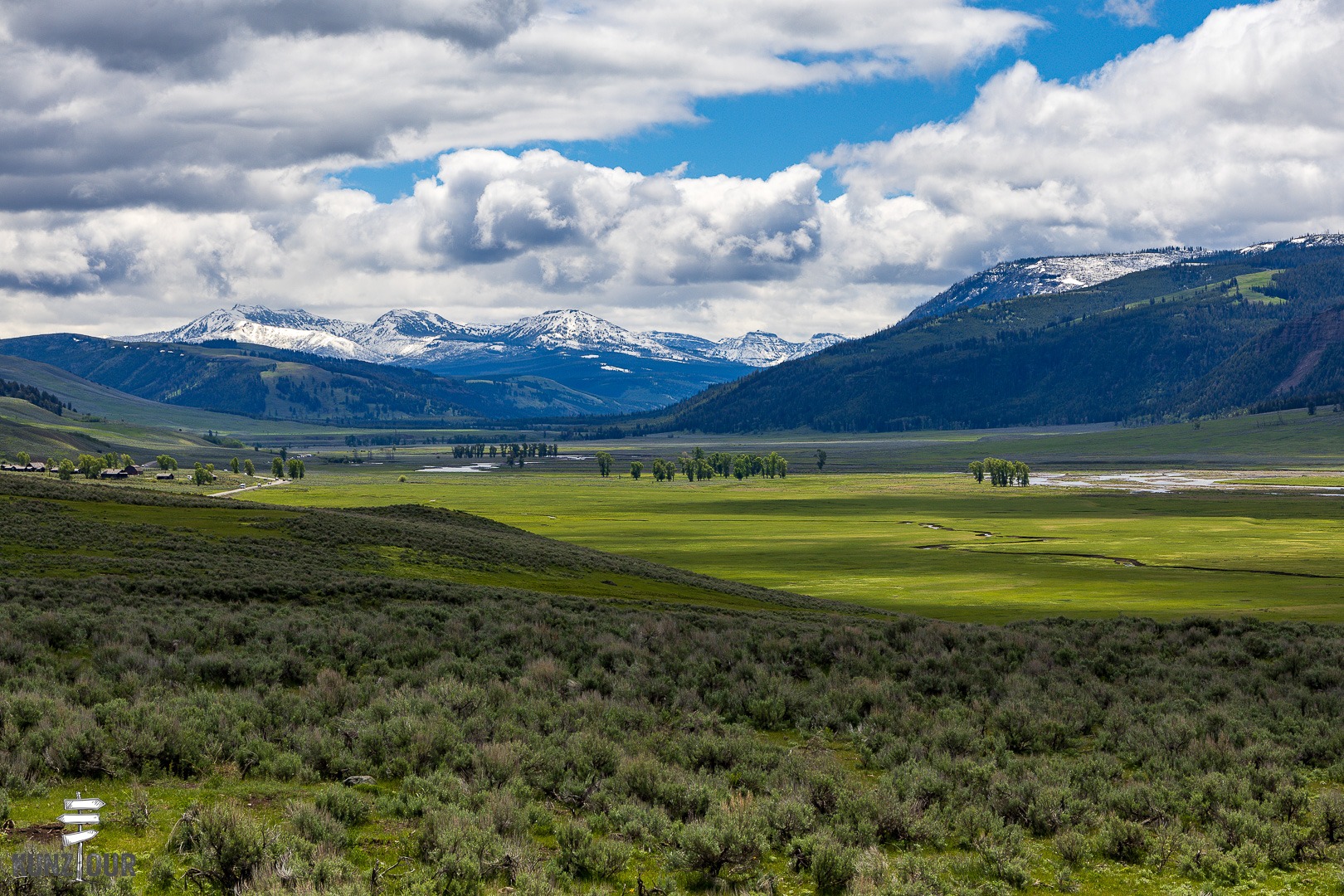 2026_US_Wyoming_Yellowstone-NP_Lamar-Valley-7064